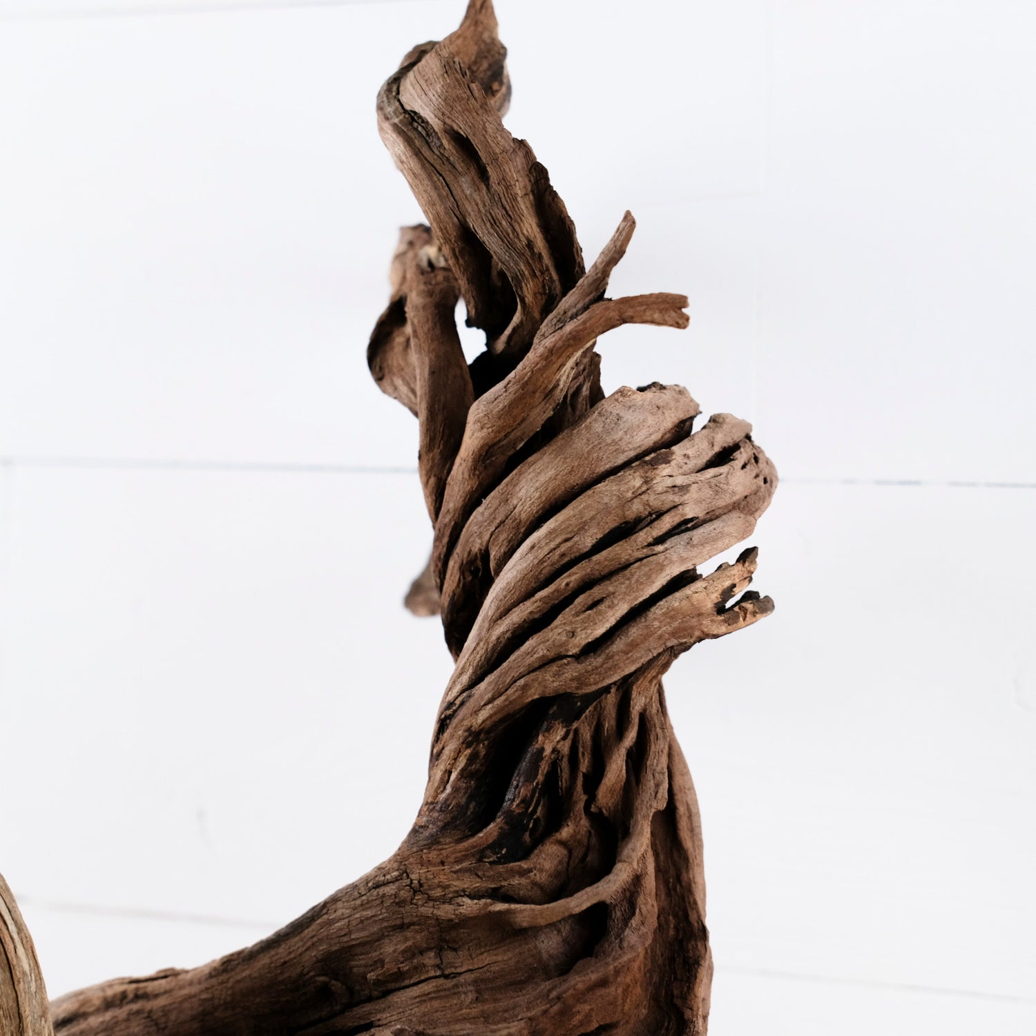 Manzanita 16" Driftwood, Aquarium Aquascape Decor, Natural Fish Tank Wood, Driftwood Root, Terrarium Centerpiece