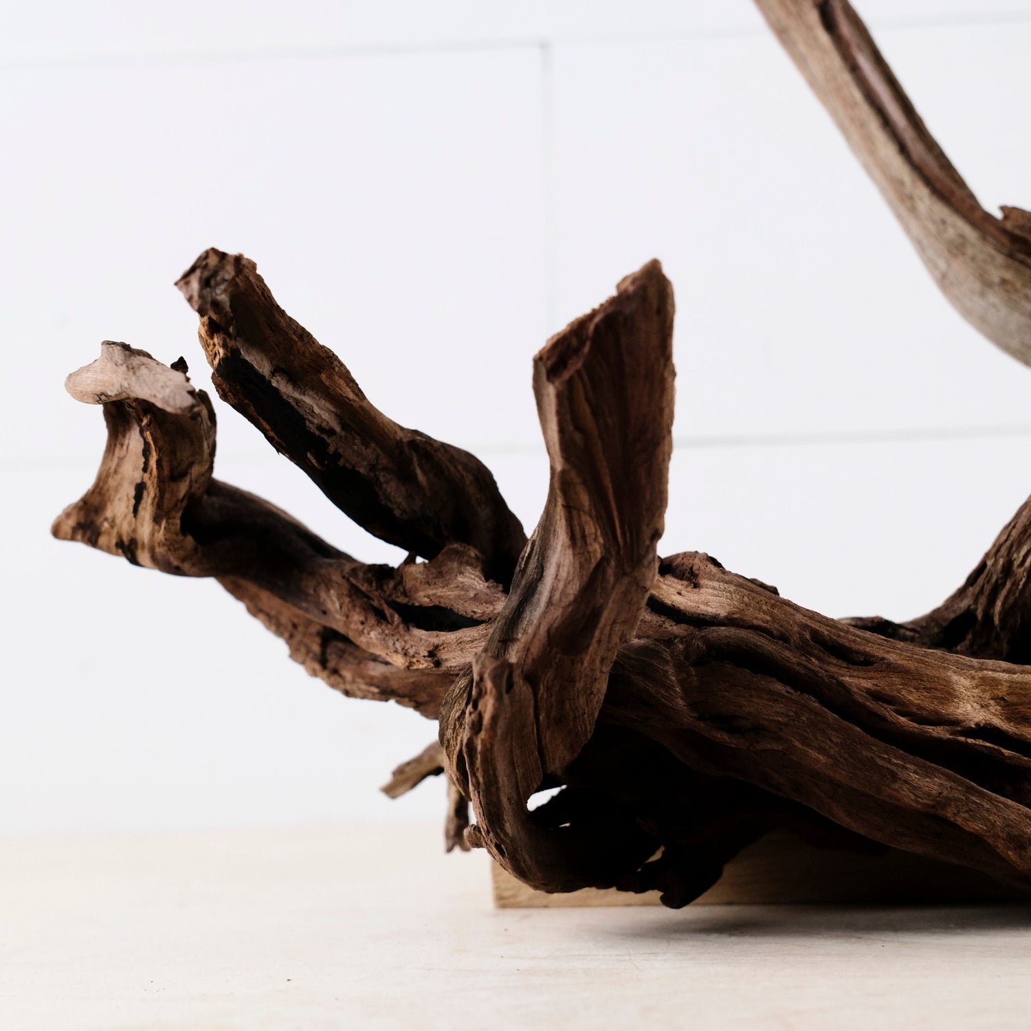 Manzanita 16" Driftwood, Aquarium Aquascape Decor, Natural Fish Tank Wood, Driftwood Root, Terrarium Centerpiece