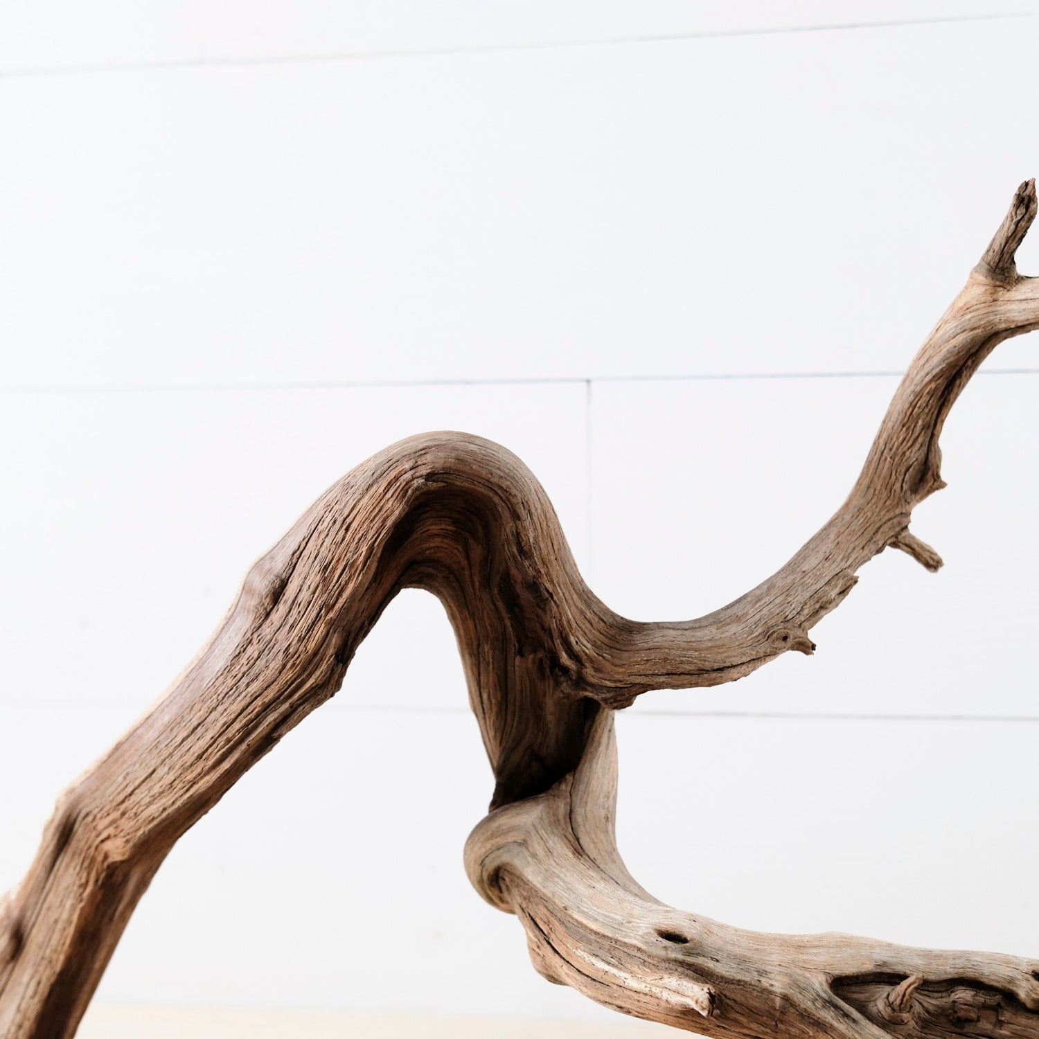 Manzanita 24" Driftwood Arch, Aquarium Aquascape Decor, Natural Fish Tank Wood, Mantel Decor Branch