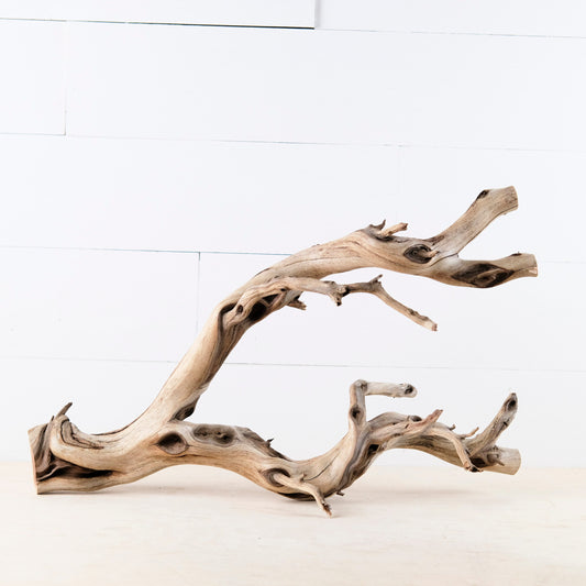 Manzanita 22" Branch, Aquascape Driftwood, Natural Terrarium Wood, Aquarium Decor