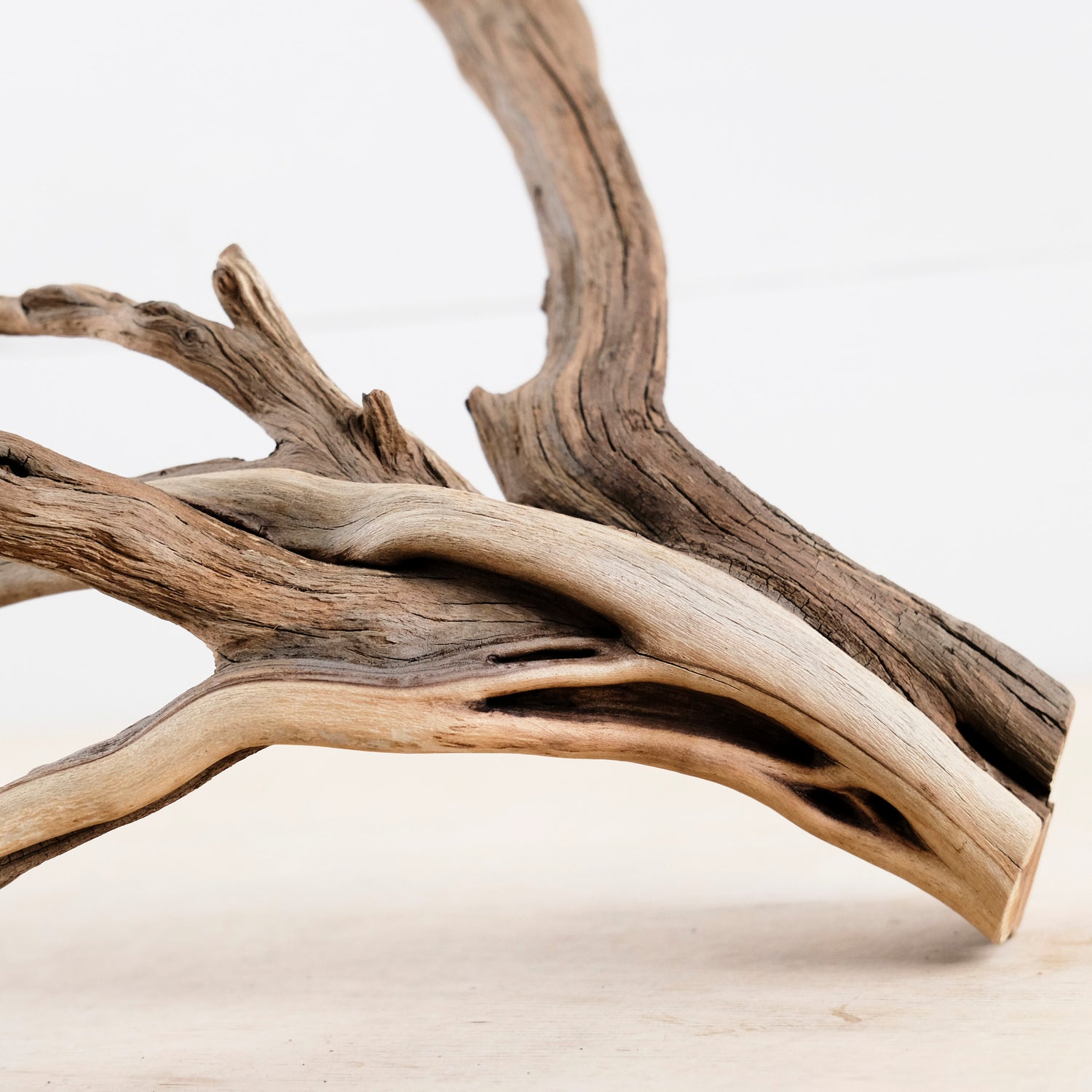 Manzanita 18" Branch, Large Aquascape Driftwood, Aquarium Wood Centerpiece, Natural Fish Tank Decor, Reptile Vivarium Branch