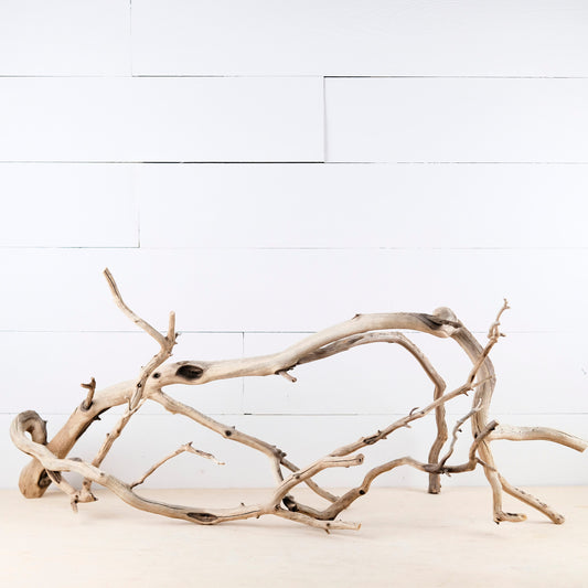 Manzanita 36" Branch, Large Aquascape Driftwood, Aquarium Wood, Natural Fish Tank Decor, Reptile Terrarium Enrichment, Vivarium Climb