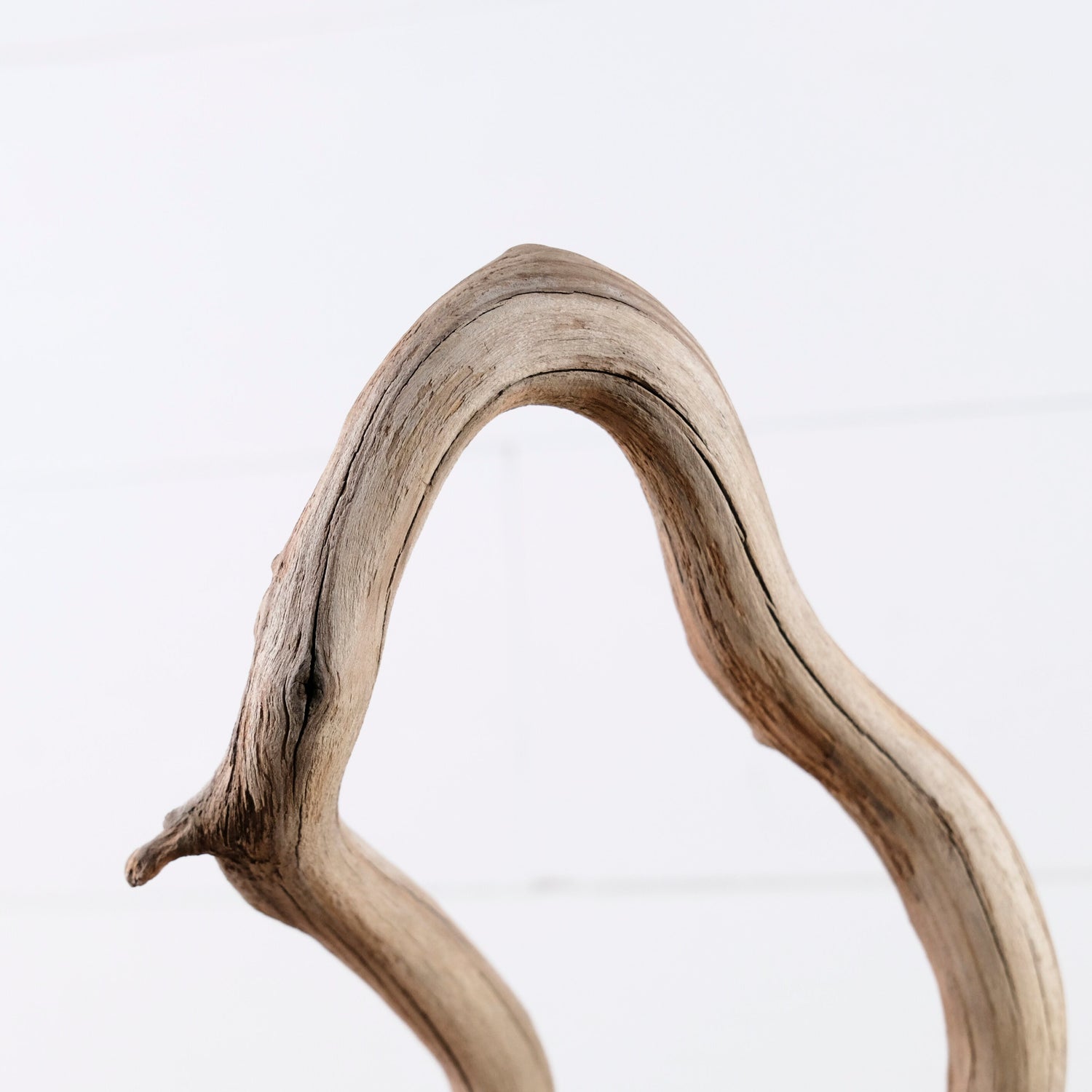 Manzanita 15" Branch, Aquascape Driftwood, Aquarium Wood Centerpiece, Natural Fish Tank Decor, Reptile Terrarium Branch