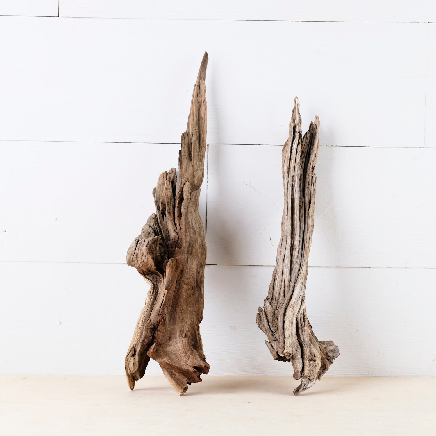 Manzanita 13"-15" Branches (Set of 2), Aquarium Driftwood, Natural Terrarium Wood, Aquascape Decor