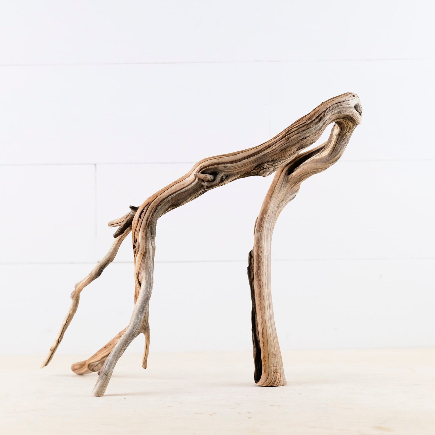 Manzanita 15" Branch, Large Aquascape Driftwood, Aquarium Wood Centerpiece, Natural Fish Tank Decor, Reptile Vivarium Branch