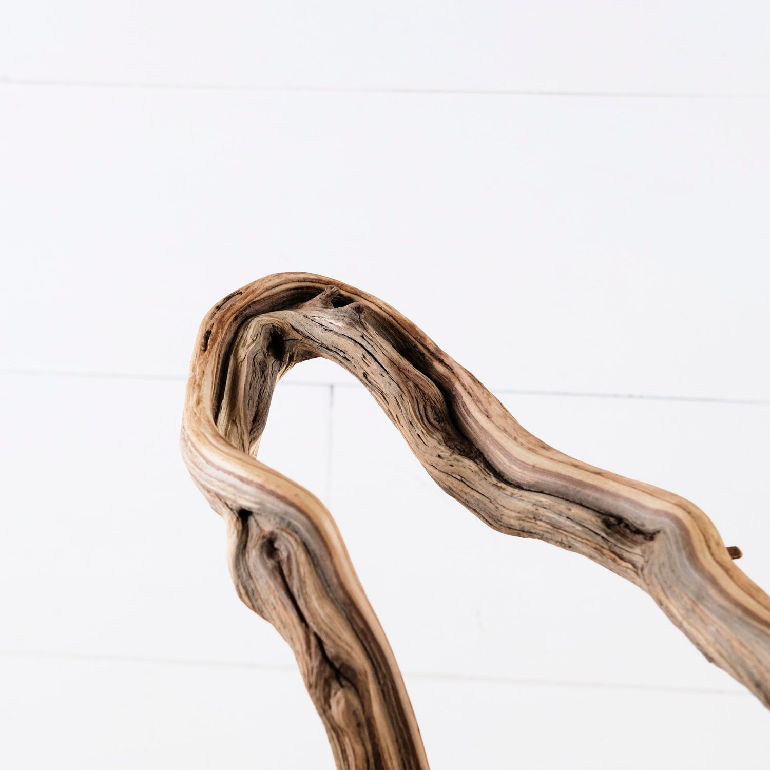 Manzanita 15" Branch, Large Aquascape Driftwood, Aquarium Wood Centerpiece, Natural Fish Tank Decor, Reptile Vivarium Branch