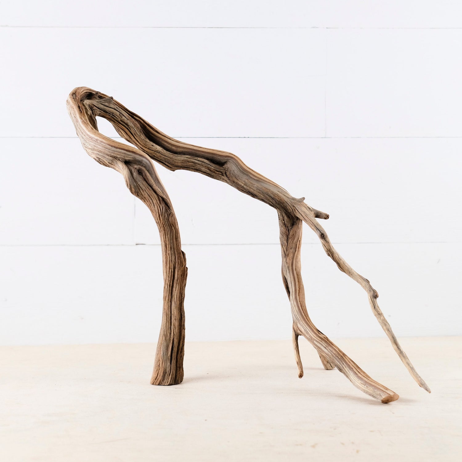 Manzanita 15" Branch, Large Aquascape Driftwood, Aquarium Wood Centerpiece, Natural Fish Tank Decor, Reptile Vivarium Branch