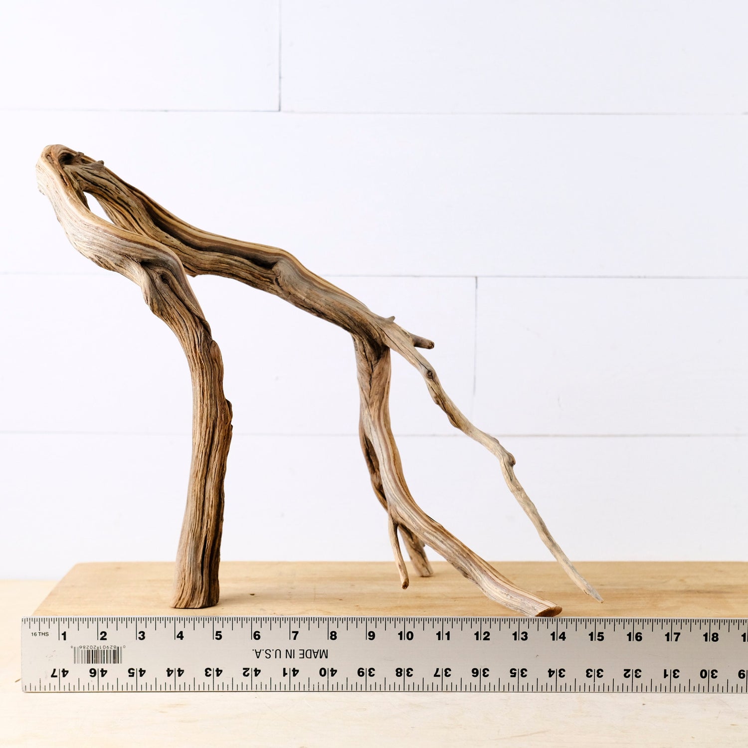 Manzanita 15" Branch, Large Aquascape Driftwood, Aquarium Wood Centerpiece, Natural Fish Tank Decor, Reptile Vivarium Branch