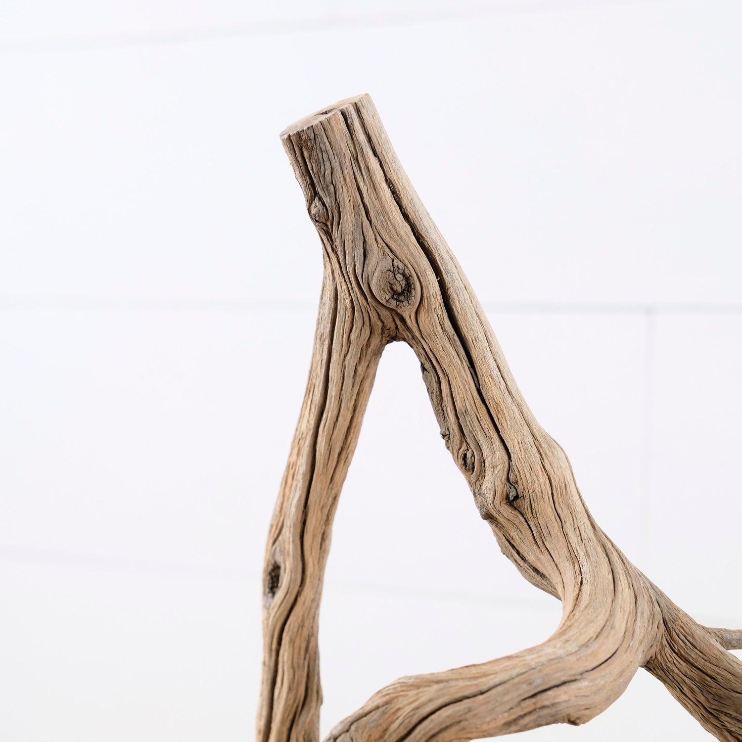 15" Manzanita Branch, Small Aquarium Wood, Aquascape Driftwood, Narrow Fish Tank Decor, Terrarium Branch