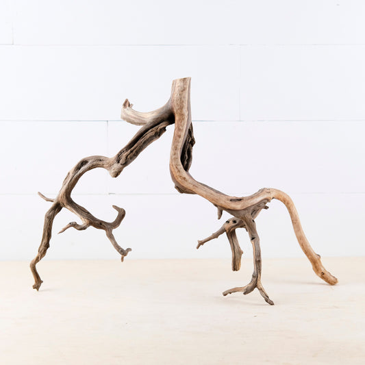 20" Manzanita Branch, Aquarium Wood, Aquascape Driftwood, Fish Tank Decor, Terrarium Branch