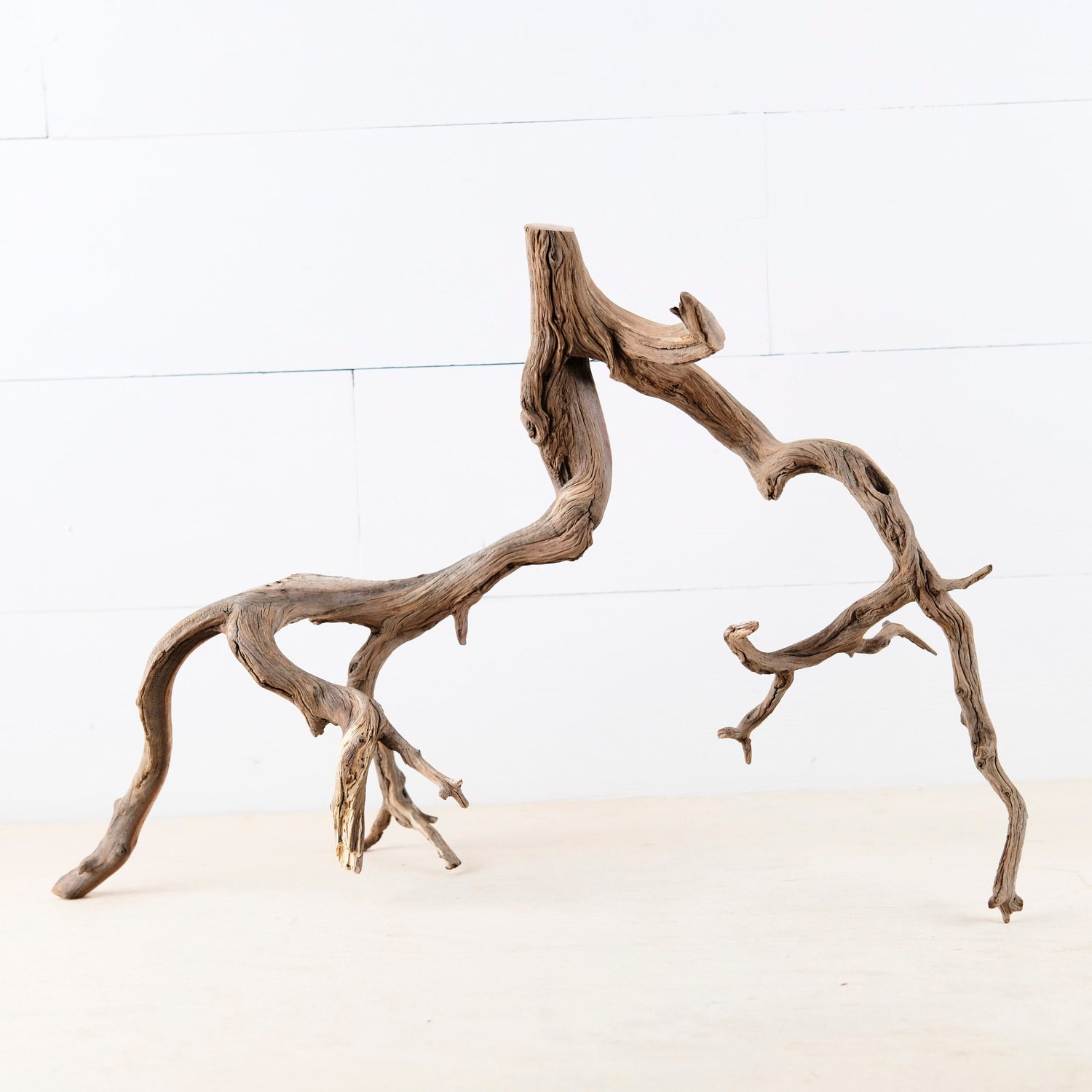 20" Manzanita Branch, Aquarium Wood, Aquascape Driftwood, Fish Tank Decor, Terrarium Branch