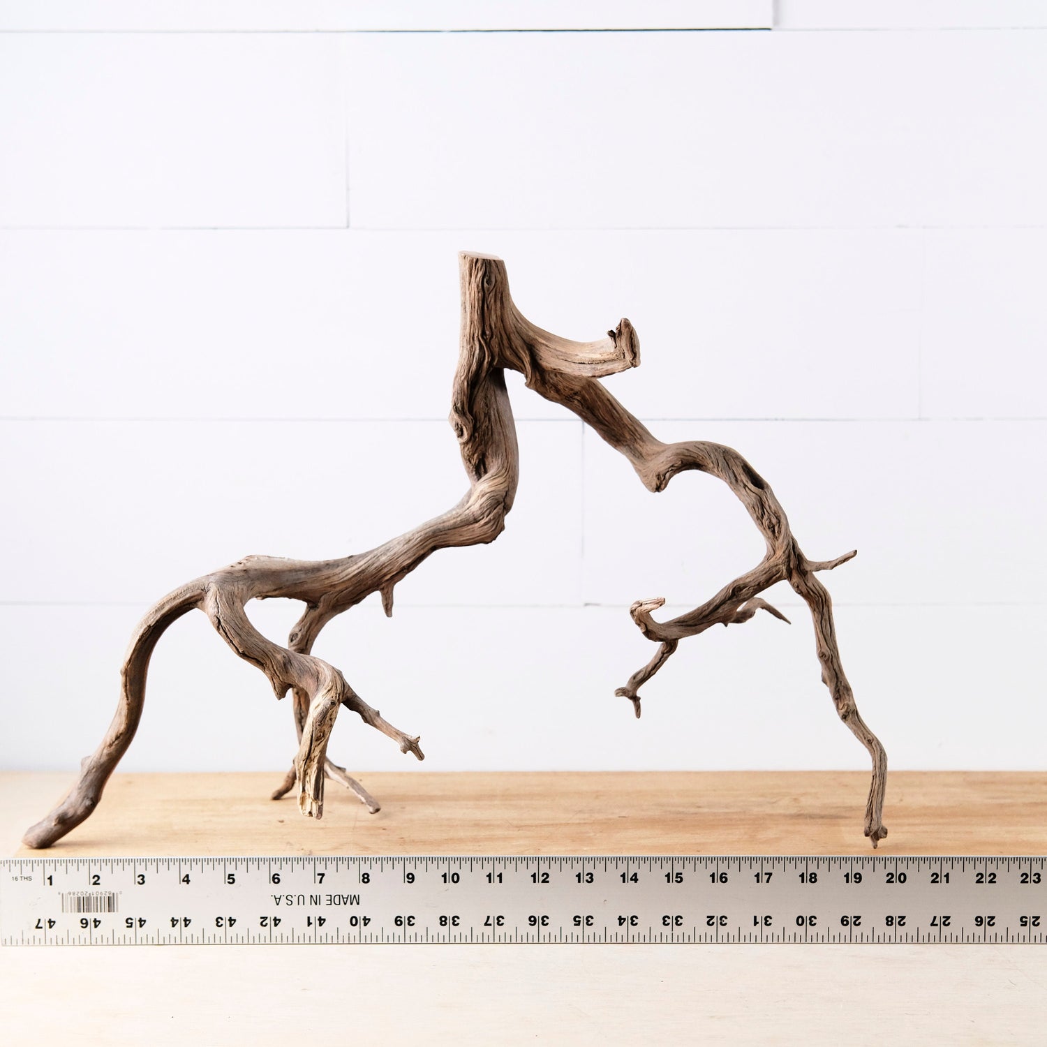 20" Manzanita Branch, Aquarium Wood, Aquascape Driftwood, Fish Tank Decor, Terrarium Branch