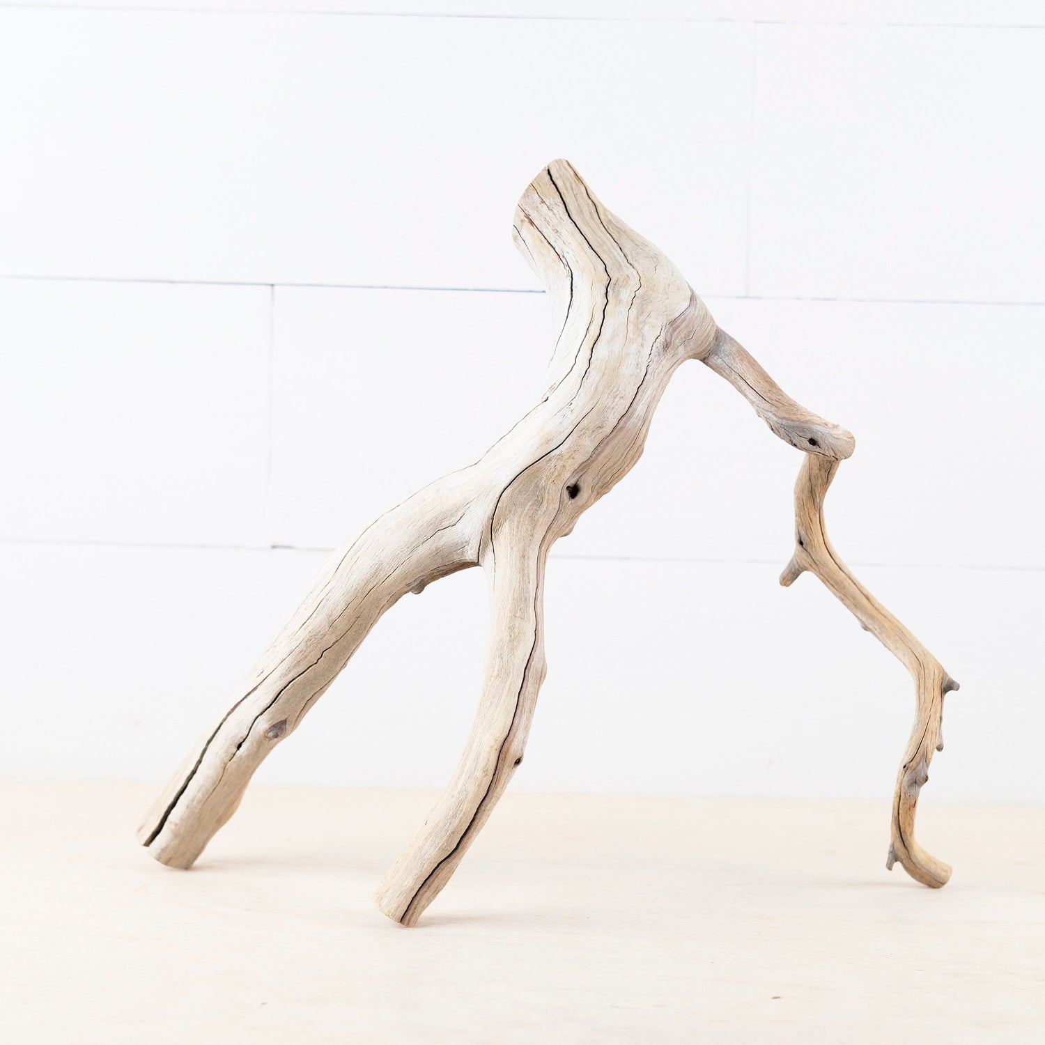 Manzanita 14" Branch, Aquascape Driftwood, Aquarium Wood Centerpiece, Natural Fish Tank Decor, Reptile Terrarium Branch