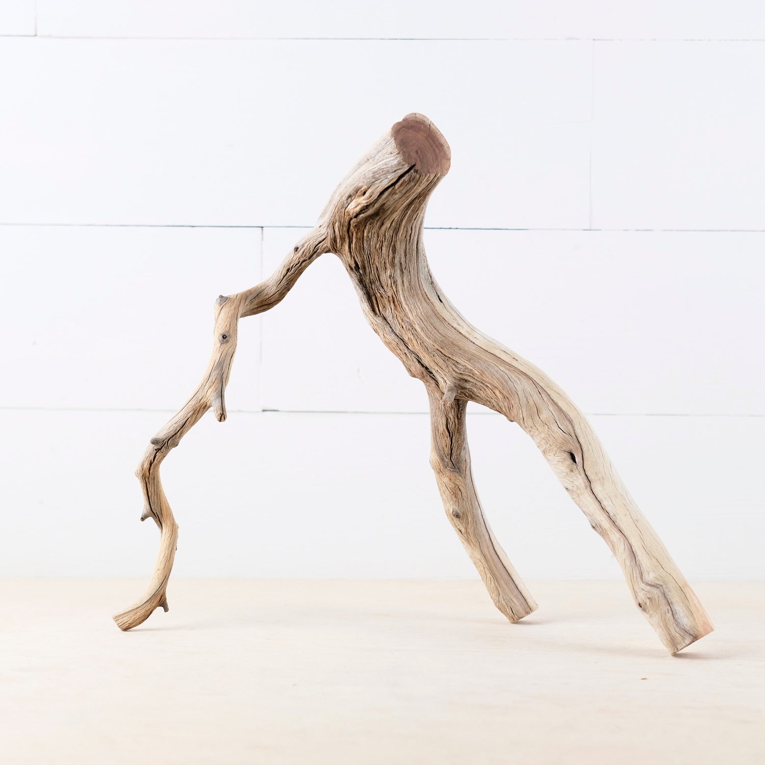 Manzanita 14" Branch, Aquascape Driftwood, Aquarium Wood Centerpiece, Natural Fish Tank Decor, Reptile Terrarium Branch