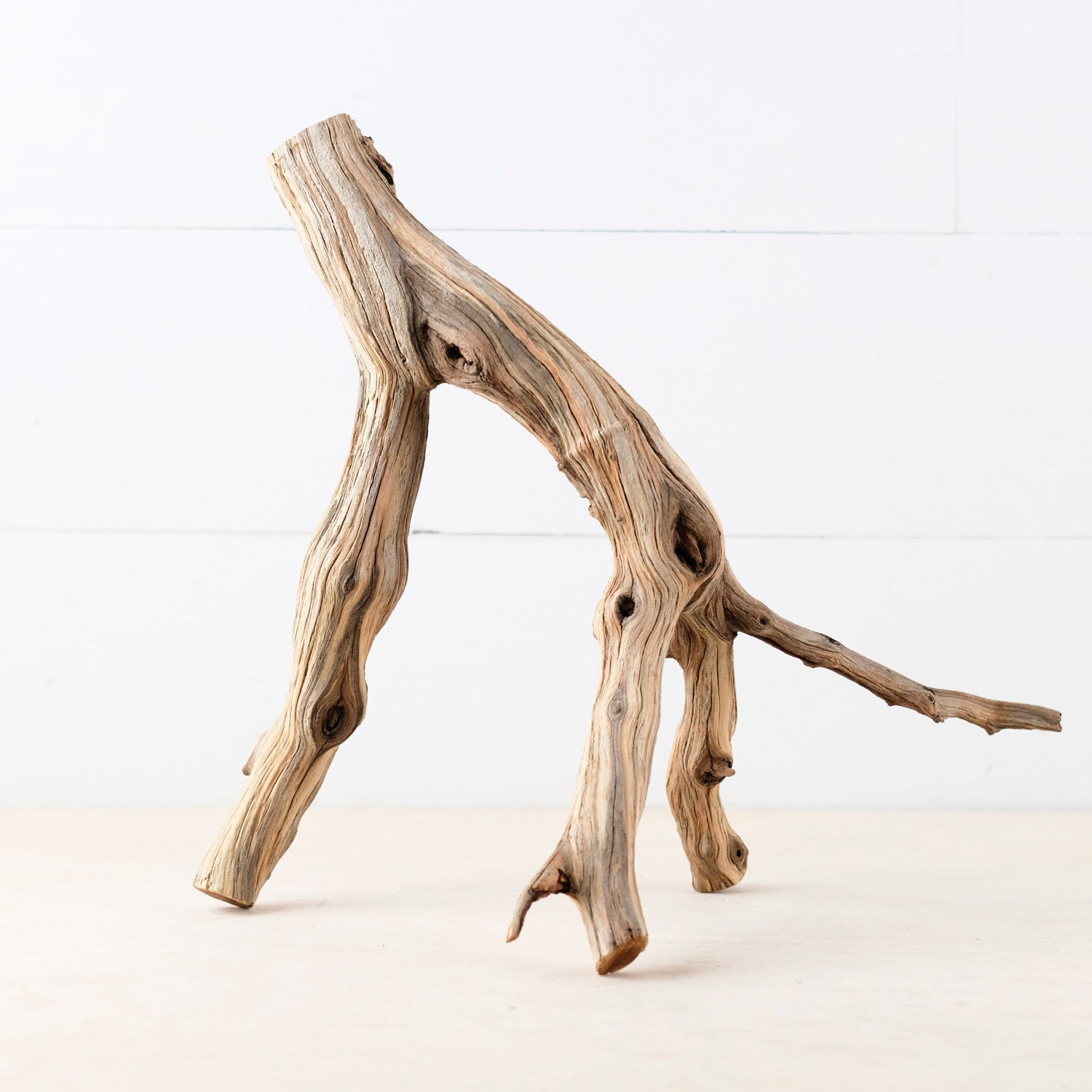 Manzanita 13" Branch, Small Aquascape Driftwood, Aquarium Wood, Natural Fish Tank Decor, Reptile Terrarium Branch