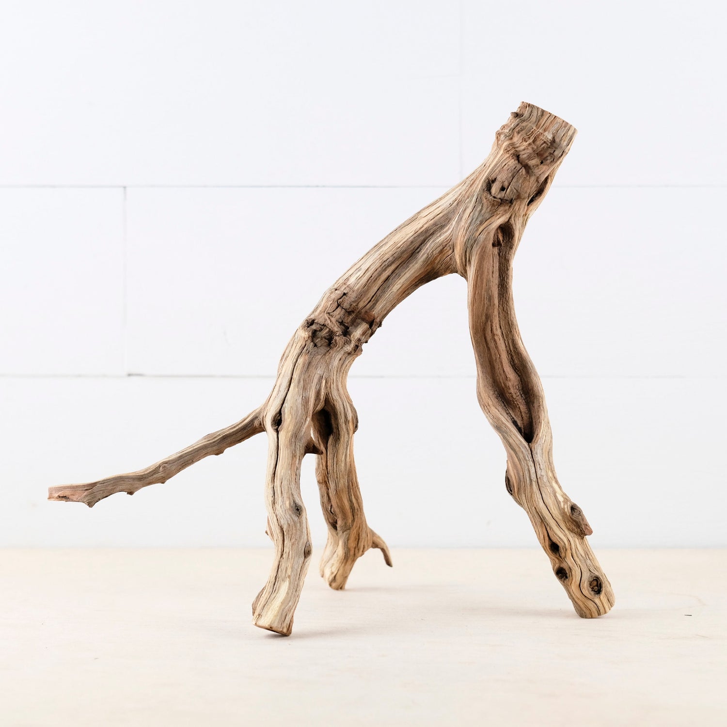 Manzanita 13" Branch, Small Aquascape Driftwood, Aquarium Wood, Natural Fish Tank Decor, Reptile Terrarium Branch