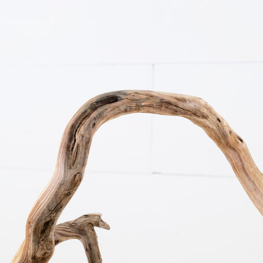 Manzanita 16" Driftwood, Aquarium Aquascape Branch, Fish Tank Decor, Terrarium Wood