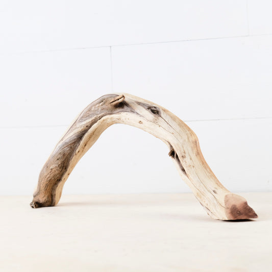 Manzanita 16" Driftwood Arch, Aquarium Aquascape Decor, Natural Fish Tank Wood, Reptile Vivarium Wood