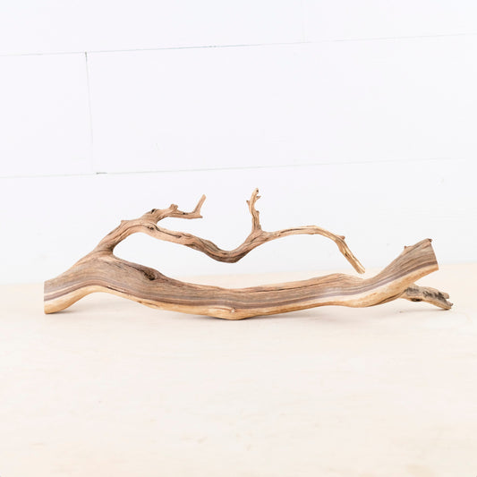 17" Manzanita Branch, Aquarium Wood, Narrow Aquascape Driftwood, Fish Tank Decor, Terrarium Branch