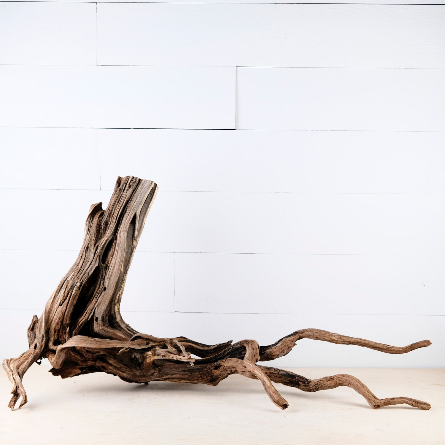 Manzanita 33" Driftwood Root, Aquarium Aquascape Decor, Reptile Terrarium Wood, Fish Tank Wood, Shrimp Tank Enrichment