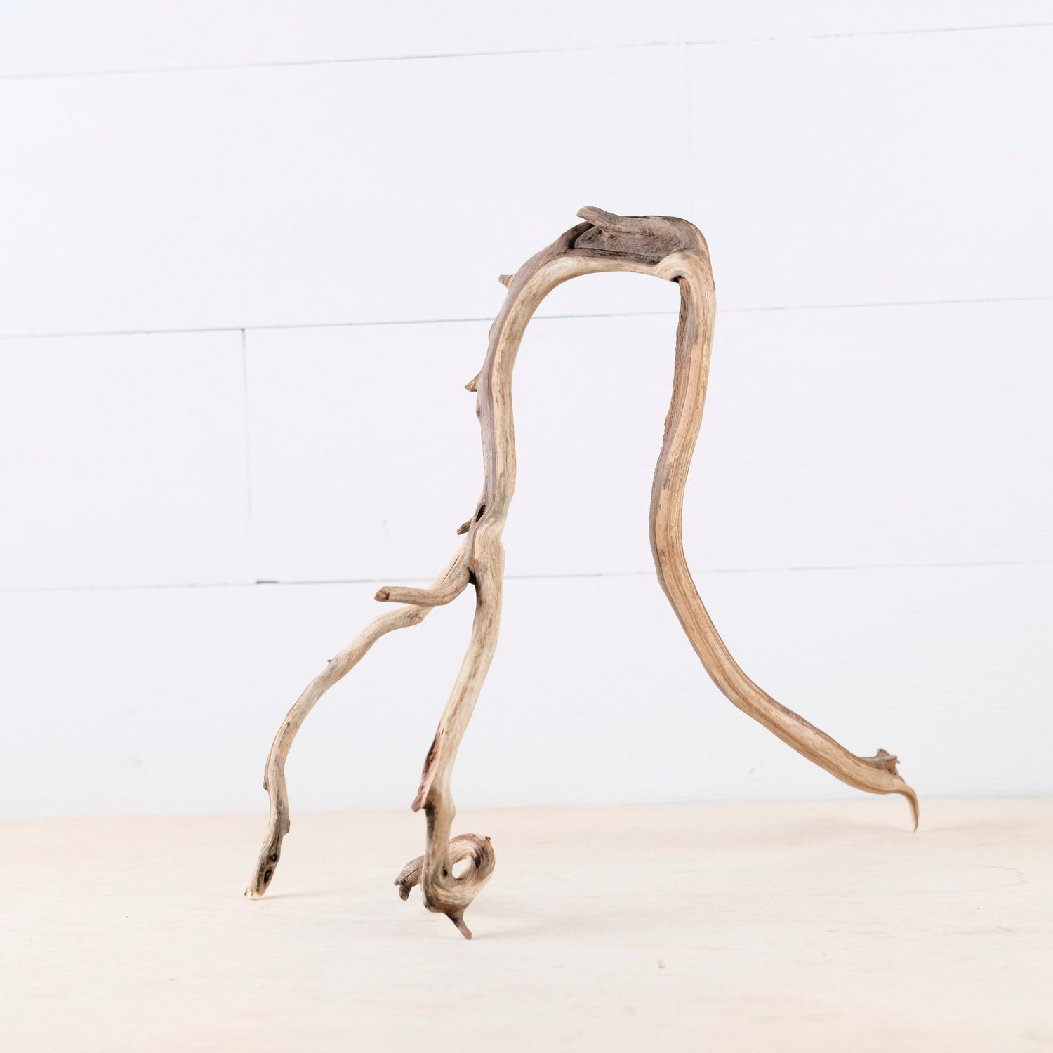 Manzanita 14" Branch, Aquascape Driftwood, Aquarium Wood Centerpiece, Natural Fish Tank Decor, Reptile Terrarium Branch