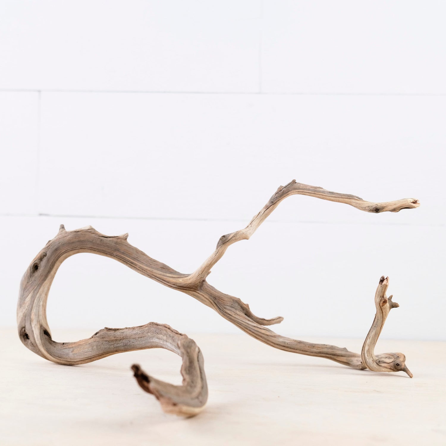 Manzanita 14" Branch, Aquascape Driftwood, Aquarium Wood Centerpiece, Natural Fish Tank Decor, Reptile Terrarium Branch