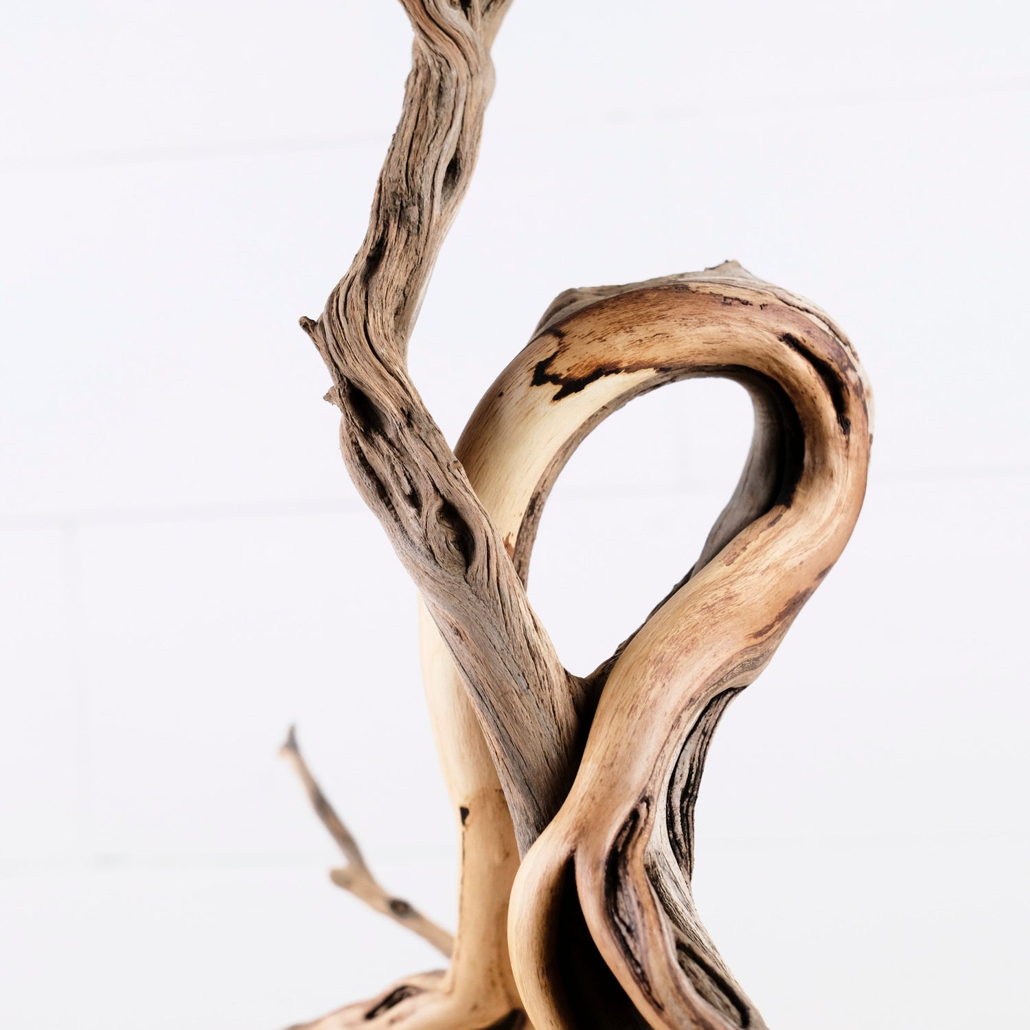 Manzanita 20" Branch, Large Aquascape Driftwood, Aquarium Wood Centerpiece, Natural Fish Tank Decor, Reptile Vivarium Branch