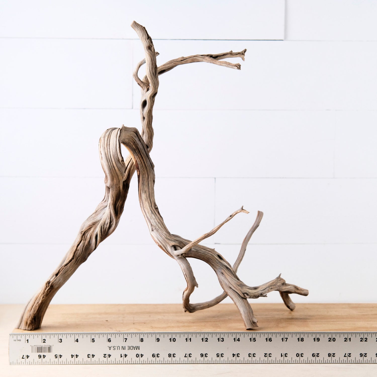 Manzanita 20" Branch, Large Aquascape Driftwood, Aquarium Wood Centerpiece, Natural Fish Tank Decor, Reptile Vivarium Branch