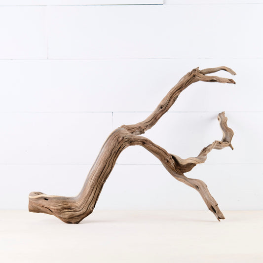 Manzanita 20" Branch, Aquascape Driftwood, Aquarium Wood, Natural Fish Tank Decor, Reptile Vivarium Branch