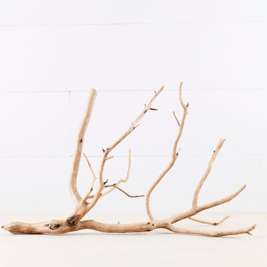 Manzanita 17" Branch, Aquascape Driftwood, Aquarium Wood, Natural Fish Tank Decor
