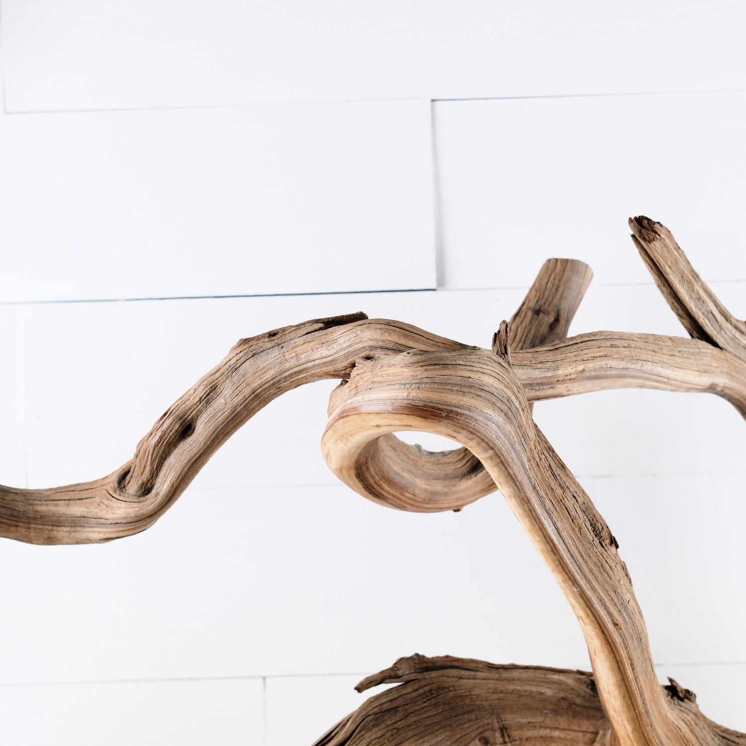 Manzanita 40" Branch, Aquascape Driftwood, XL Aquarium Wood, Natural Fish Tank Decor, Reptile Terrarium Enrichment, Vivarium Climb