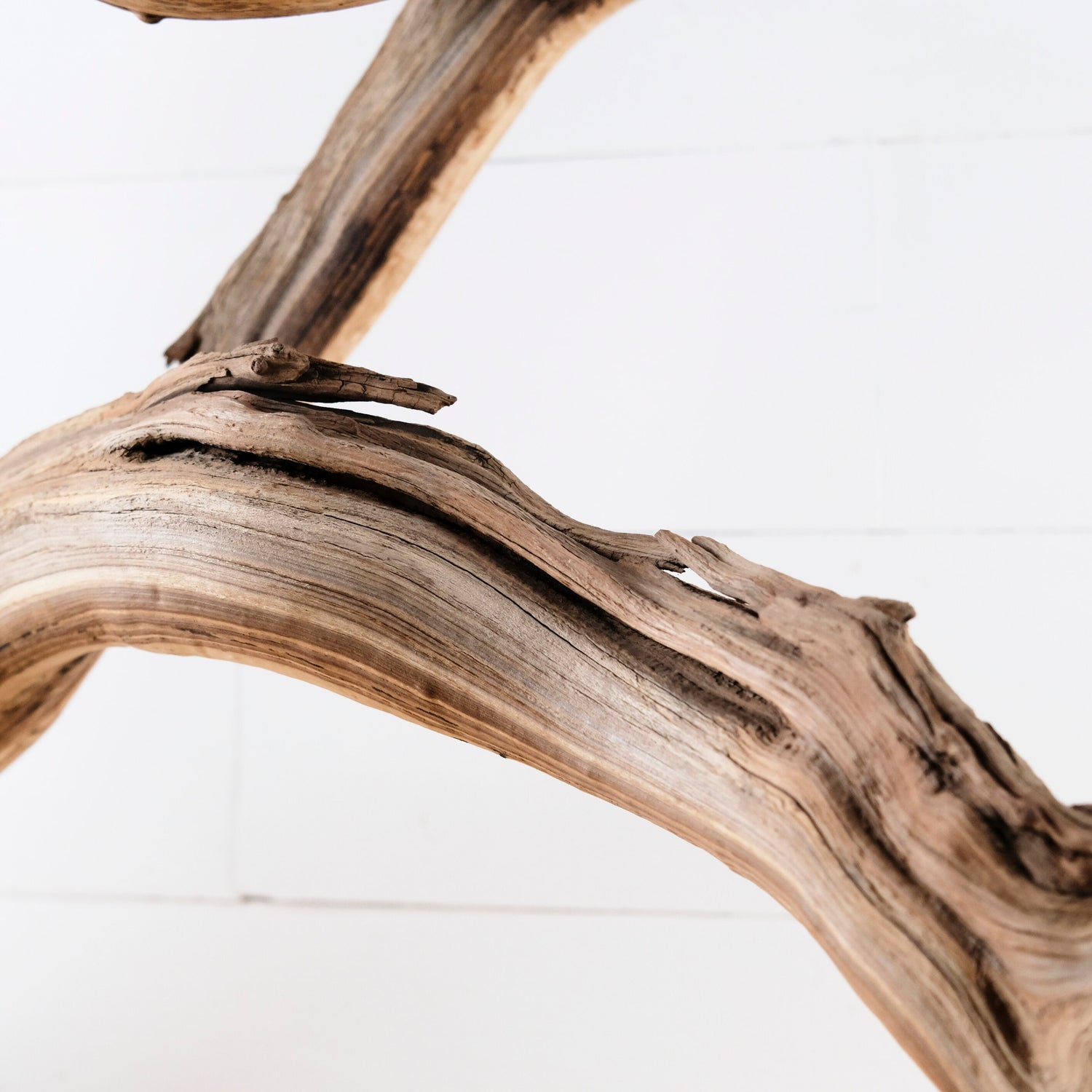 Manzanita 40" Branch, Aquascape Driftwood, XL Aquarium Wood, Natural Fish Tank Decor, Reptile Terrarium Enrichment, Vivarium Climb