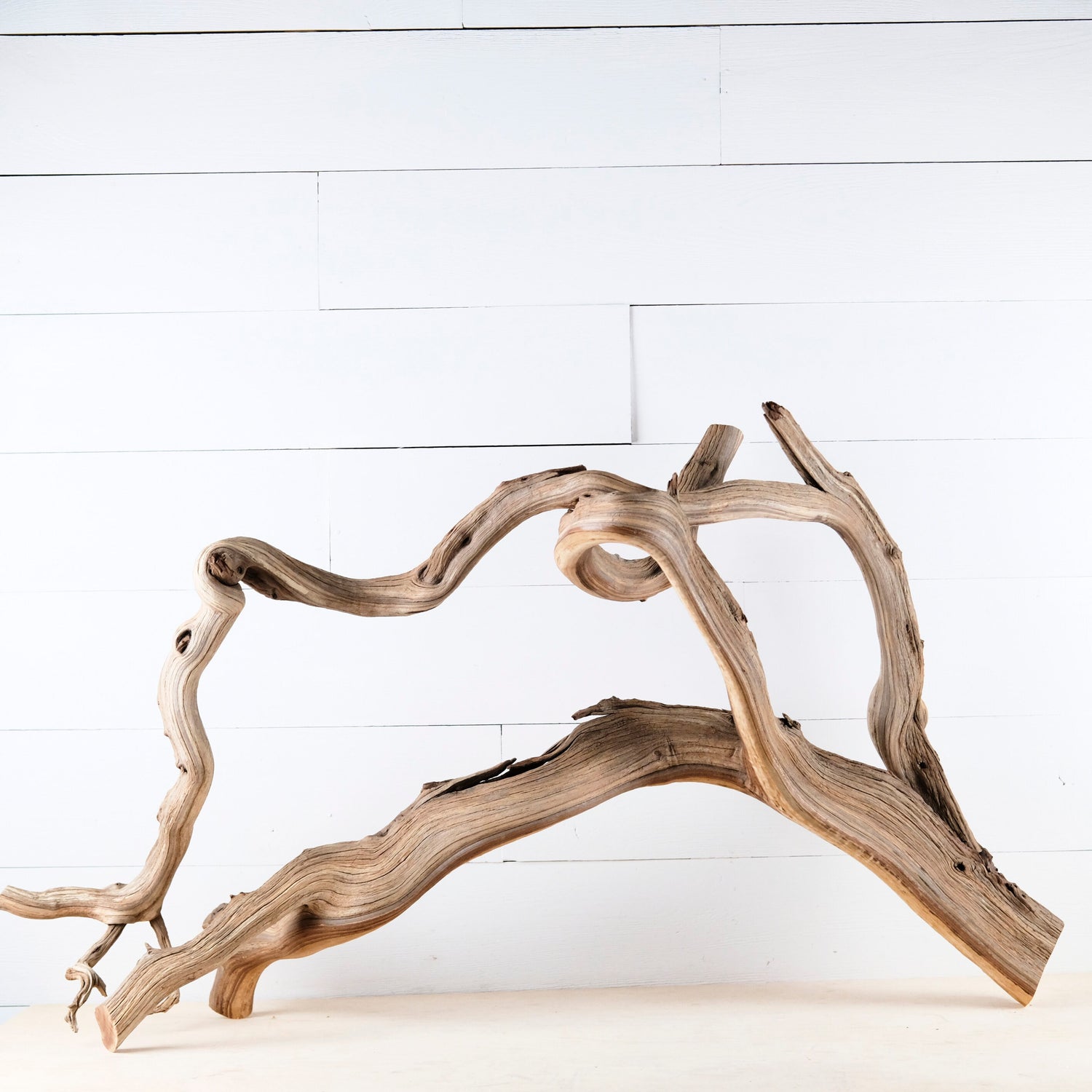 Manzanita 40" Branch, Aquascape Driftwood, XL Aquarium Wood, Natural Fish Tank Decor, Reptile Terrarium Enrichment, Vivarium Climb