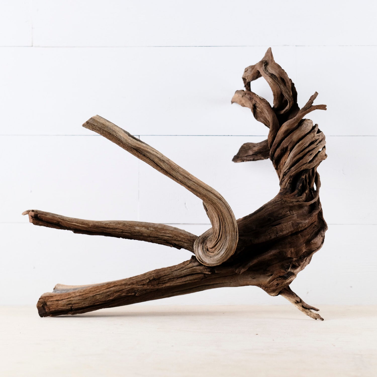 Manzanita 16" Driftwood, Aquarium Aquascape Decor, Natural Fish Tank Wood, Driftwood Root, Terrarium Centerpiece