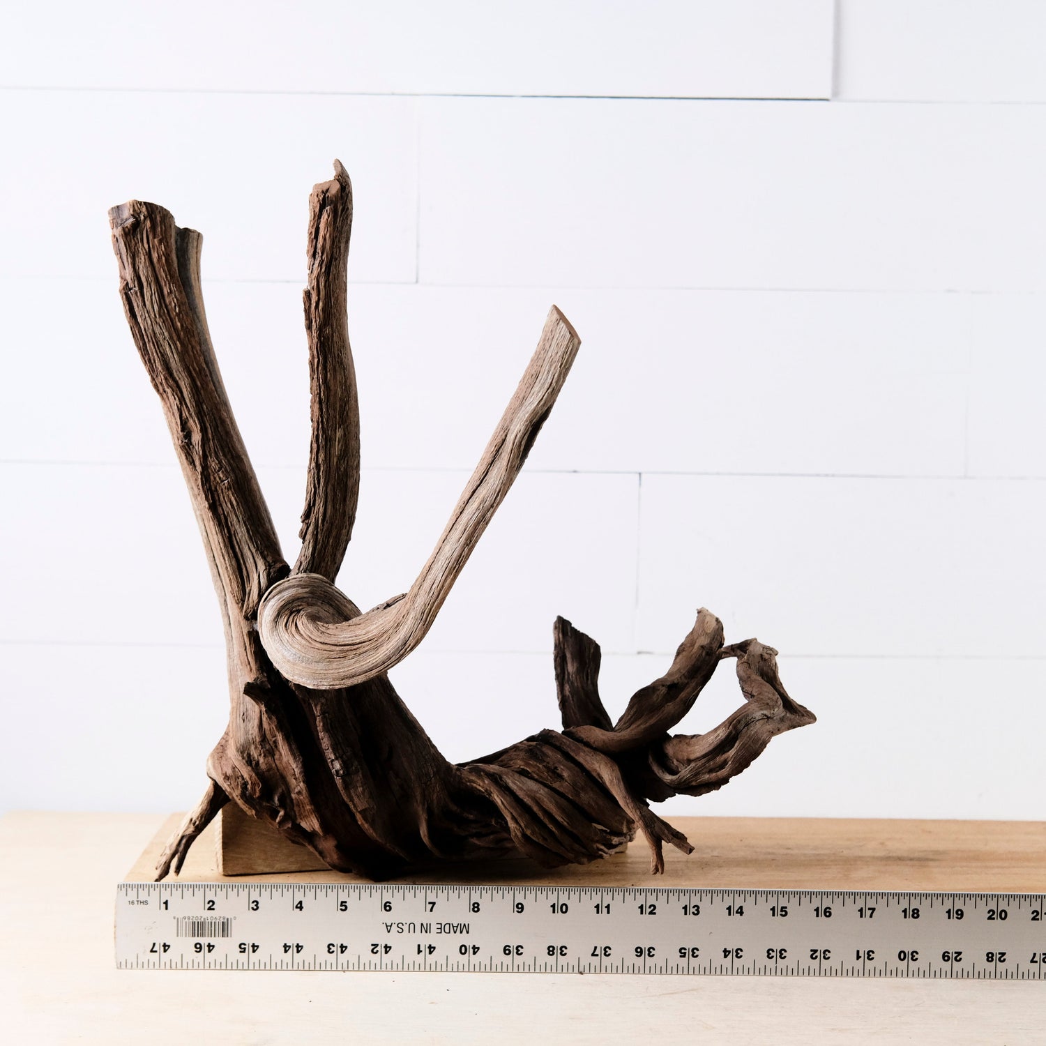 Manzanita 16" Driftwood, Aquarium Aquascape Decor, Natural Fish Tank Wood, Driftwood Root, Terrarium Centerpiece