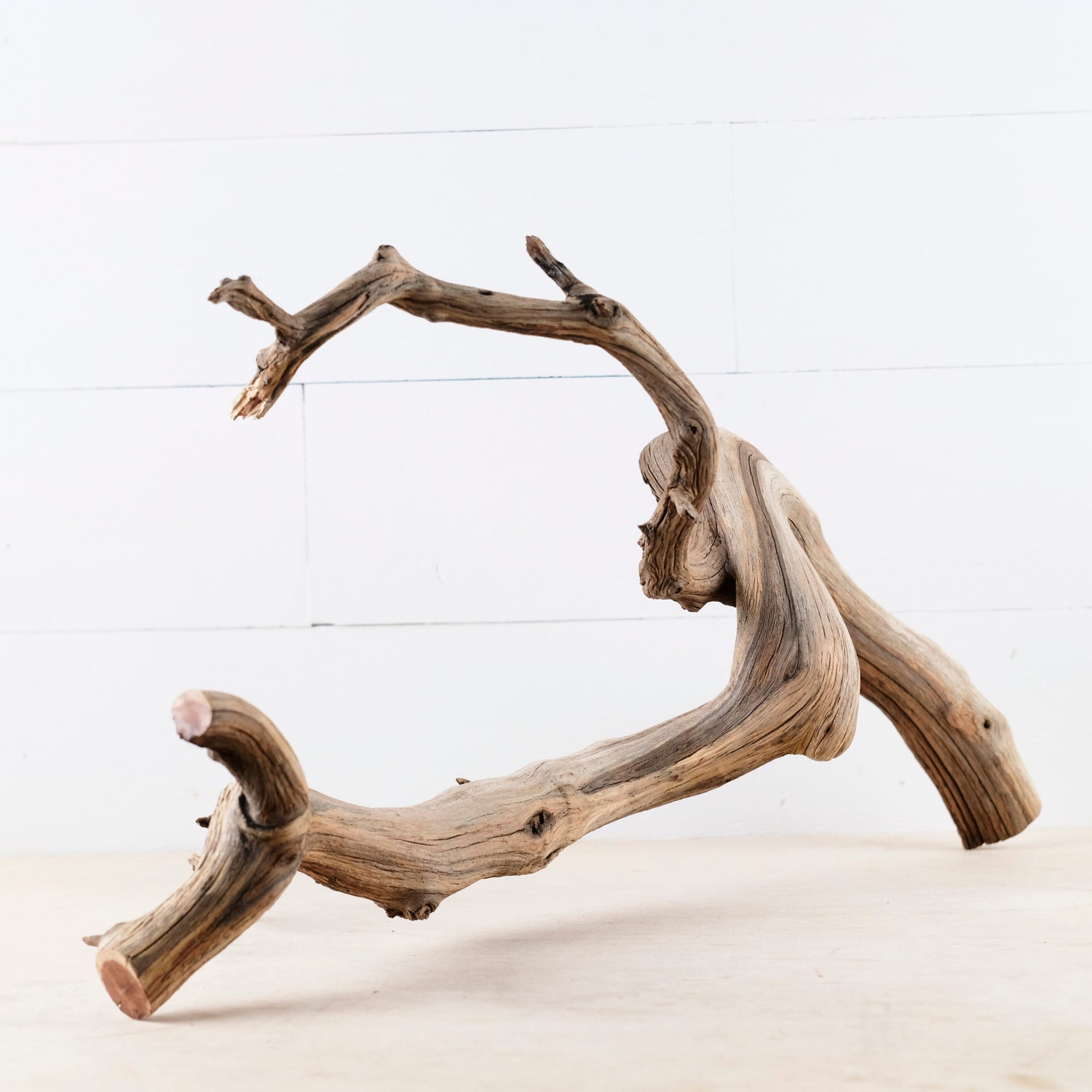 Manzanita 24" Driftwood Arch, Aquarium Aquascape Decor, Natural Fish Tank Wood, Mantel Decor Branch