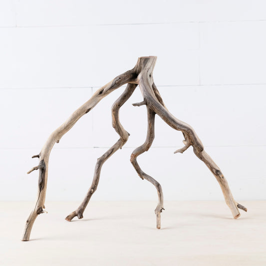18" Manzanita Branch, Aquarium Wood, Aquascape Driftwood, Fish Tank Decor, Terrarium Branch