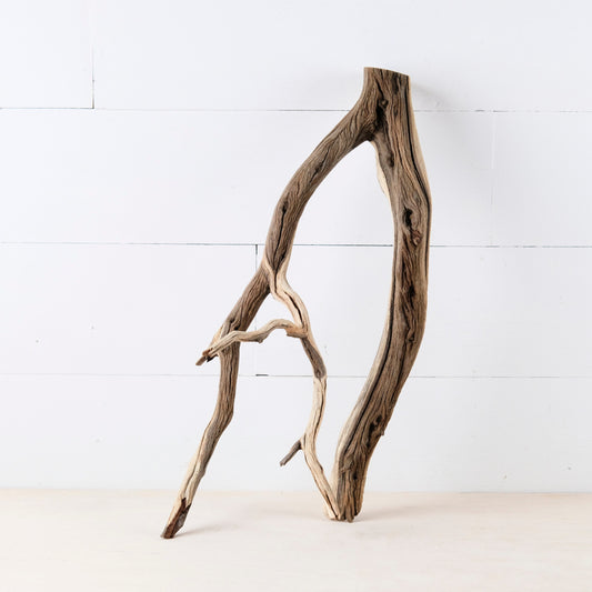 Manzanita 21" Branch, Aquascape Driftwood, Aquarium Wood, Natural Fish Tank Decor, Reptile Vivarium Branch