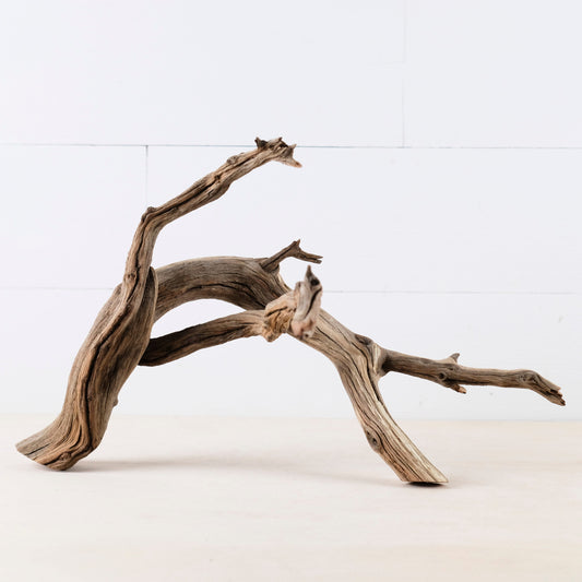 Manzanita 17" Branch, Aquascape Driftwood, Aquarium Wood, Natural Fish Tank Decor, Reptile Vivarium Branch