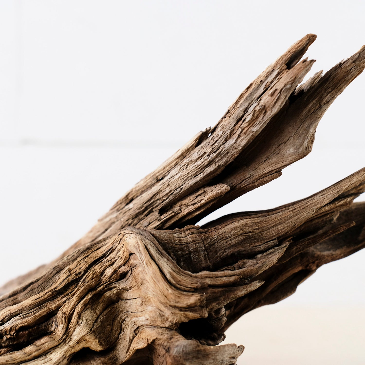 Manzanita 13"-15" Branches (Set of 2), Aquarium Driftwood, Natural Terrarium Wood, Aquascape Decor