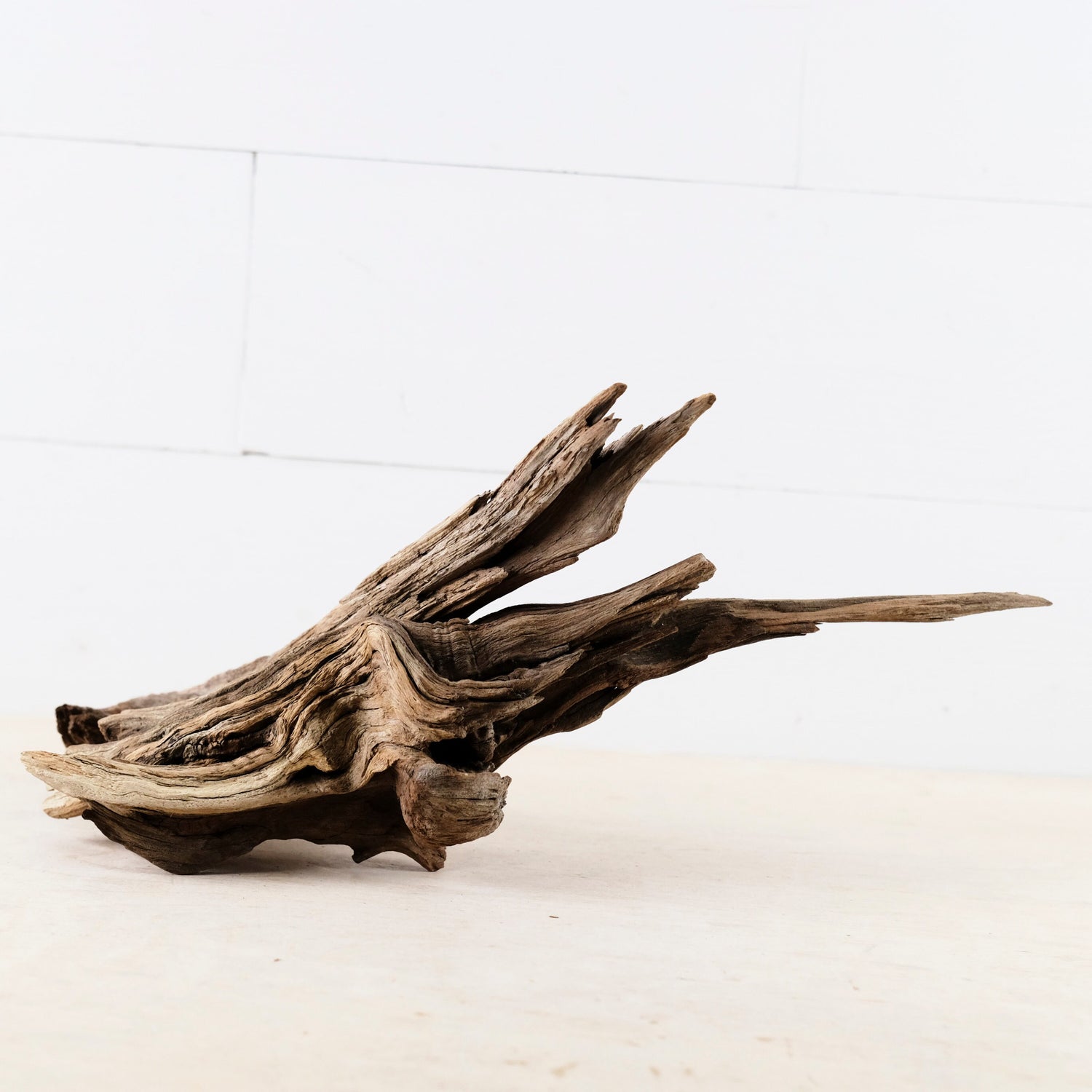 Manzanita 13"-15" Branches (Set of 2), Aquarium Driftwood, Natural Terrarium Wood, Aquascape Decor