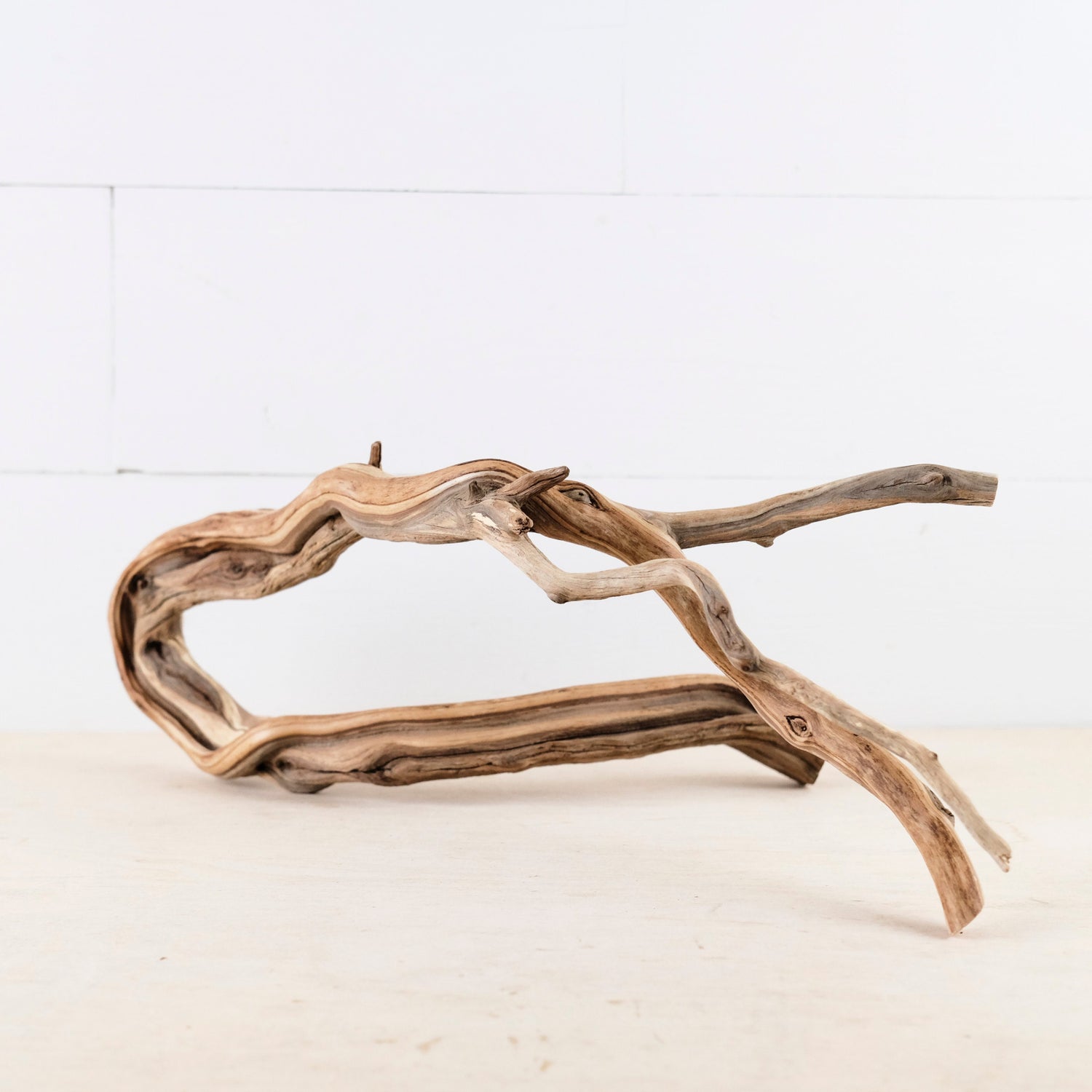 Manzanita 15" Branch, Large Aquascape Driftwood, Aquarium Wood Centerpiece, Natural Fish Tank Decor, Reptile Vivarium Branch