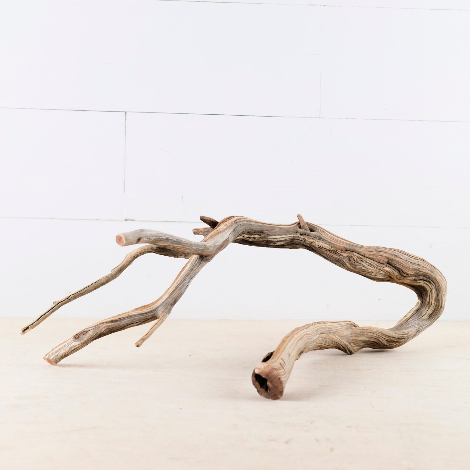 Manzanita 15" Branch, Large Aquascape Driftwood, Aquarium Wood Centerpiece, Natural Fish Tank Decor, Reptile Vivarium Branch