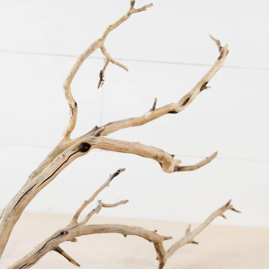 18" Manzanita Branch, Aquarium Wood, Aquascape Driftwood, Fish Tank Decor, Terrarium Branch