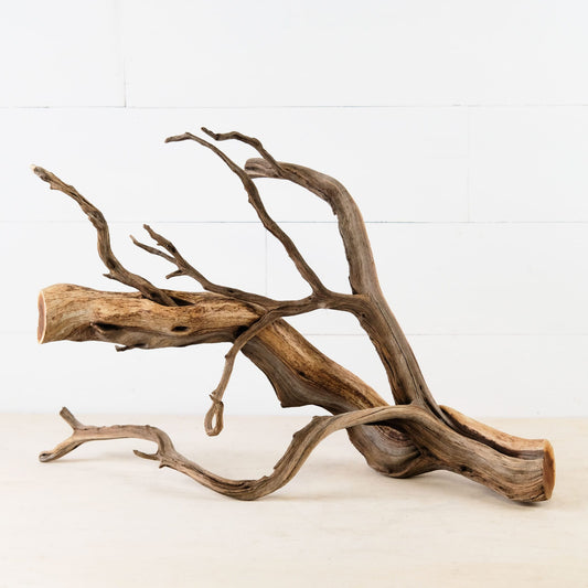 Manzanita 22" Branch, Aquascape Driftwood, Natural Terrarium Wood, Aquarium Decor, Vivarium Branch