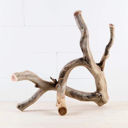 Manzanita 20" Branch, Large Aquascape Driftwood, Aquarium Wood Centerpiece, Natural Fish Tank Decor, Reptile Vivarium Branch