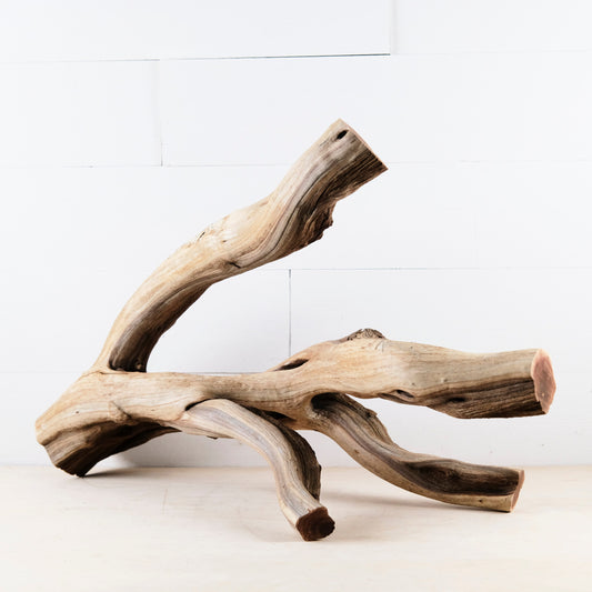 Manzanita 27" Branch, Large Aquascape Driftwood, Aquarium Wood, Natural Fish Tank Decor, Reptile Terrarium Enrichment, Vivarium Climb