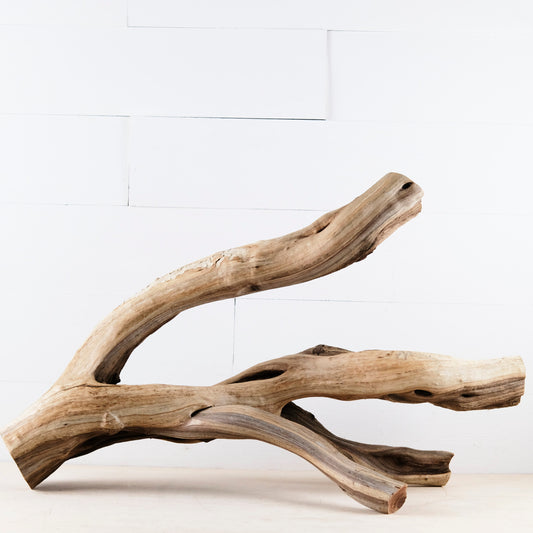 Manzanita 27" Branch, Large Aquascape Driftwood, Aquarium Wood, Natural Fish Tank Decor, Reptile Terrarium Enrichment, Vivarium Climb