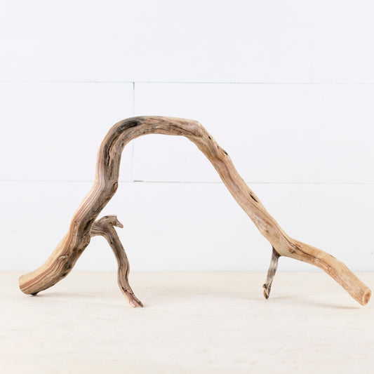 Manzanita 16" Driftwood, Aquarium Aquascape Branch, Fish Tank Decor, Terrarium Wood