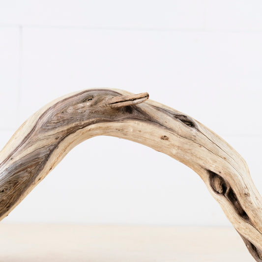 Manzanita 16" Driftwood Arch, Aquarium Aquascape Decor, Natural Fish Tank Wood, Reptile Vivarium Wood